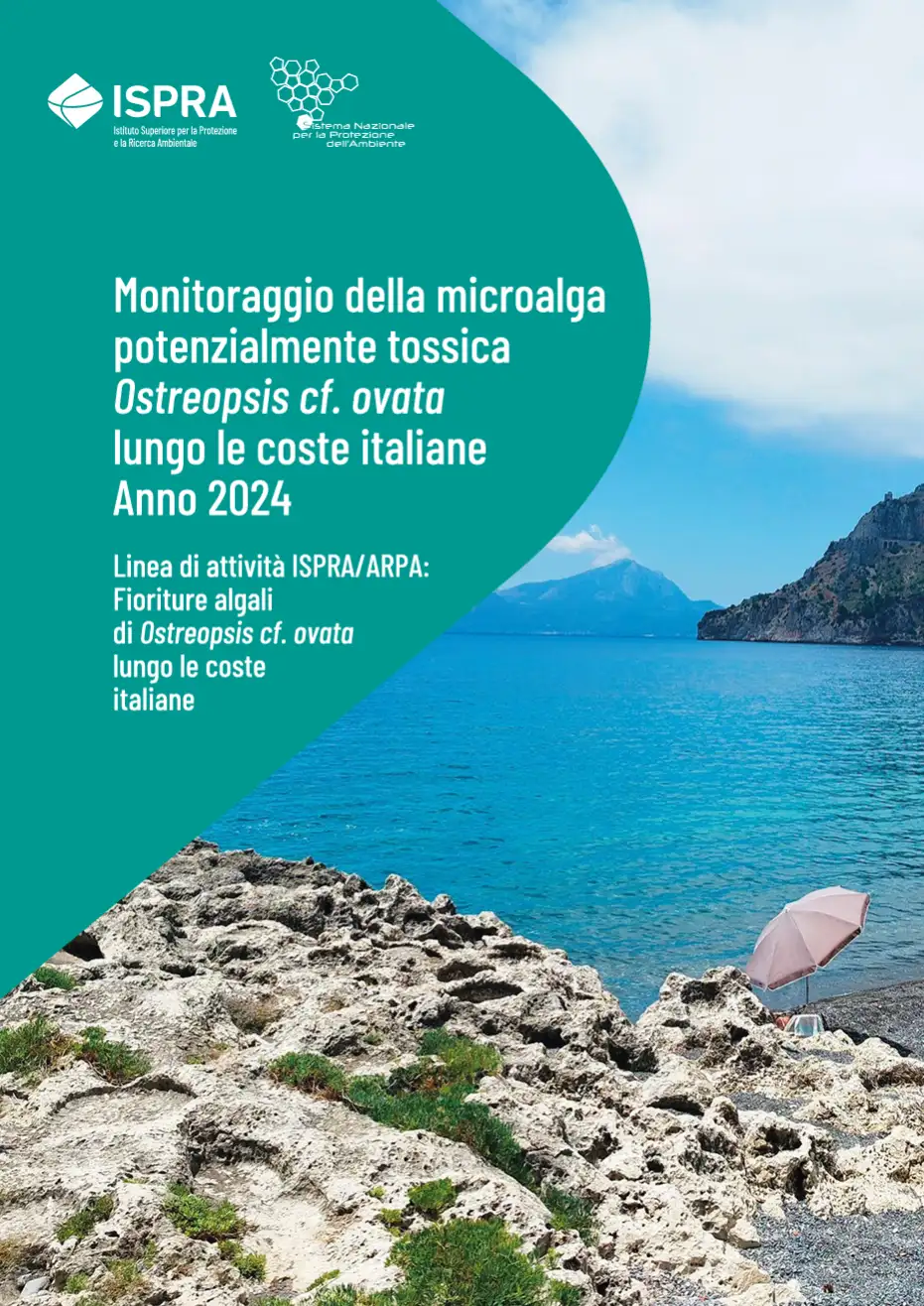 Monitoraggio della microalga potenzialmente tossica Ostreopsis cf. ovata | Anno 2024